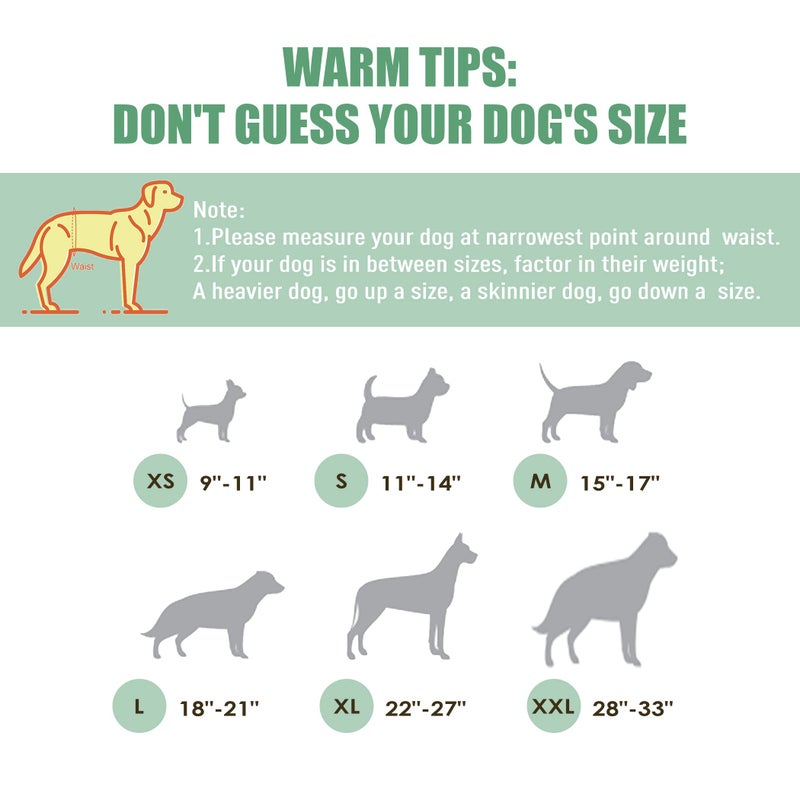 Wegreeco Washable Male Dog Belly Band (Stylish Pattern)- Pack of 3 - Washable Male Dog Belly Wrap, Dog Diapers Male (M, Magic) - Image 3
